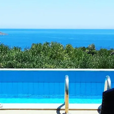 Panorama فيلة *