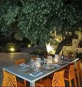 Panorama فيلة *