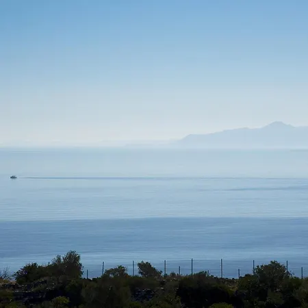 Panorama فيلة